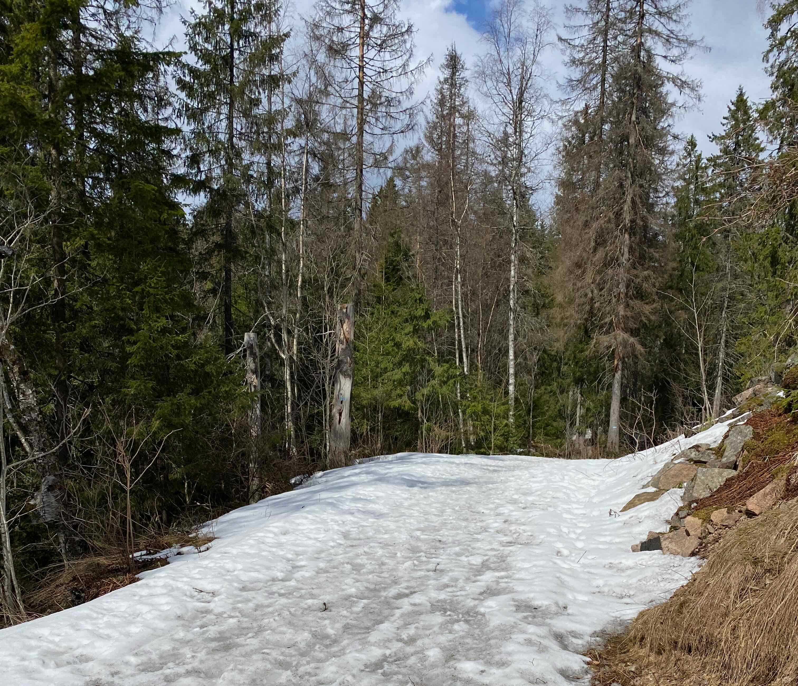 Schnee in der Normarka