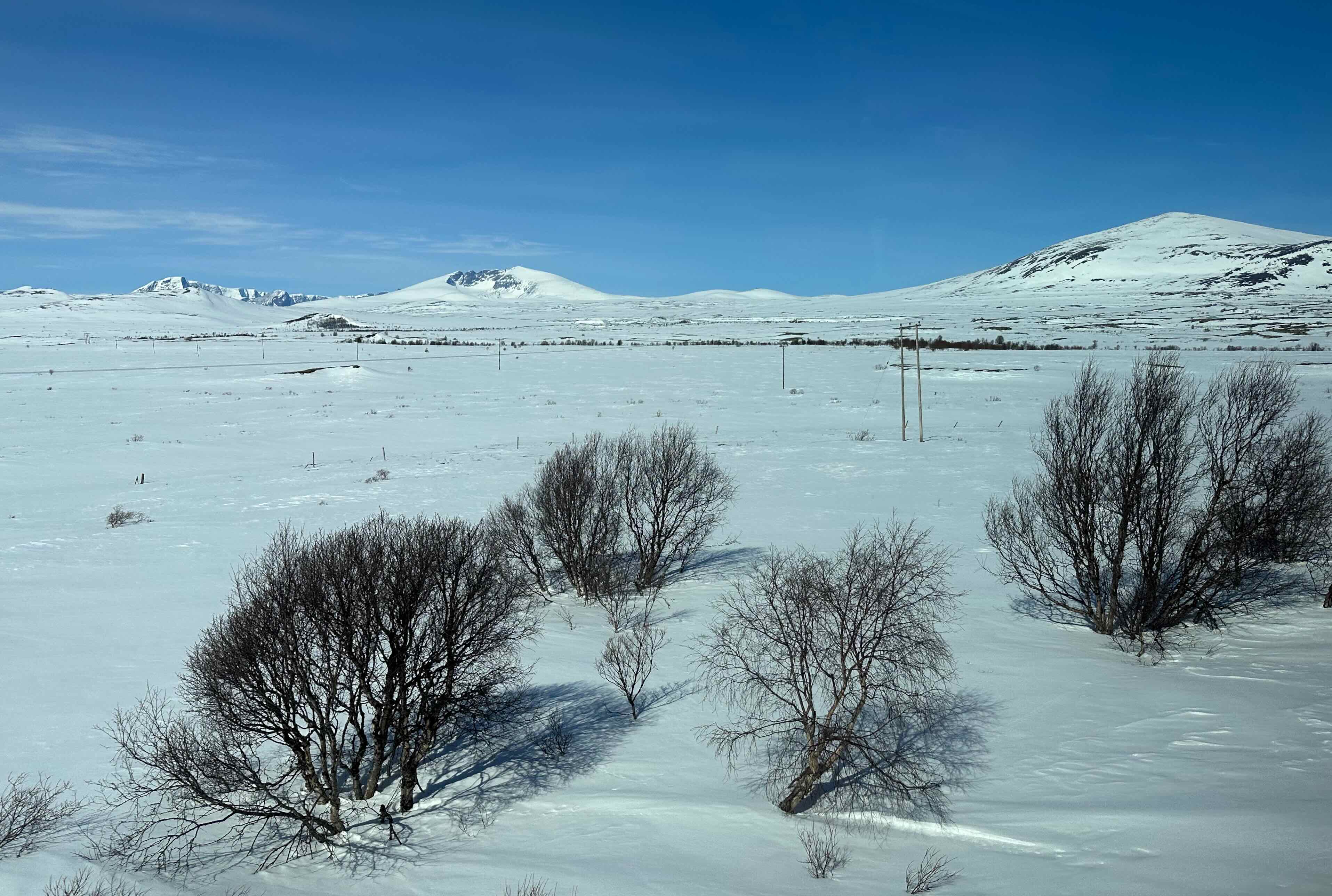 Weg nach Trondheim