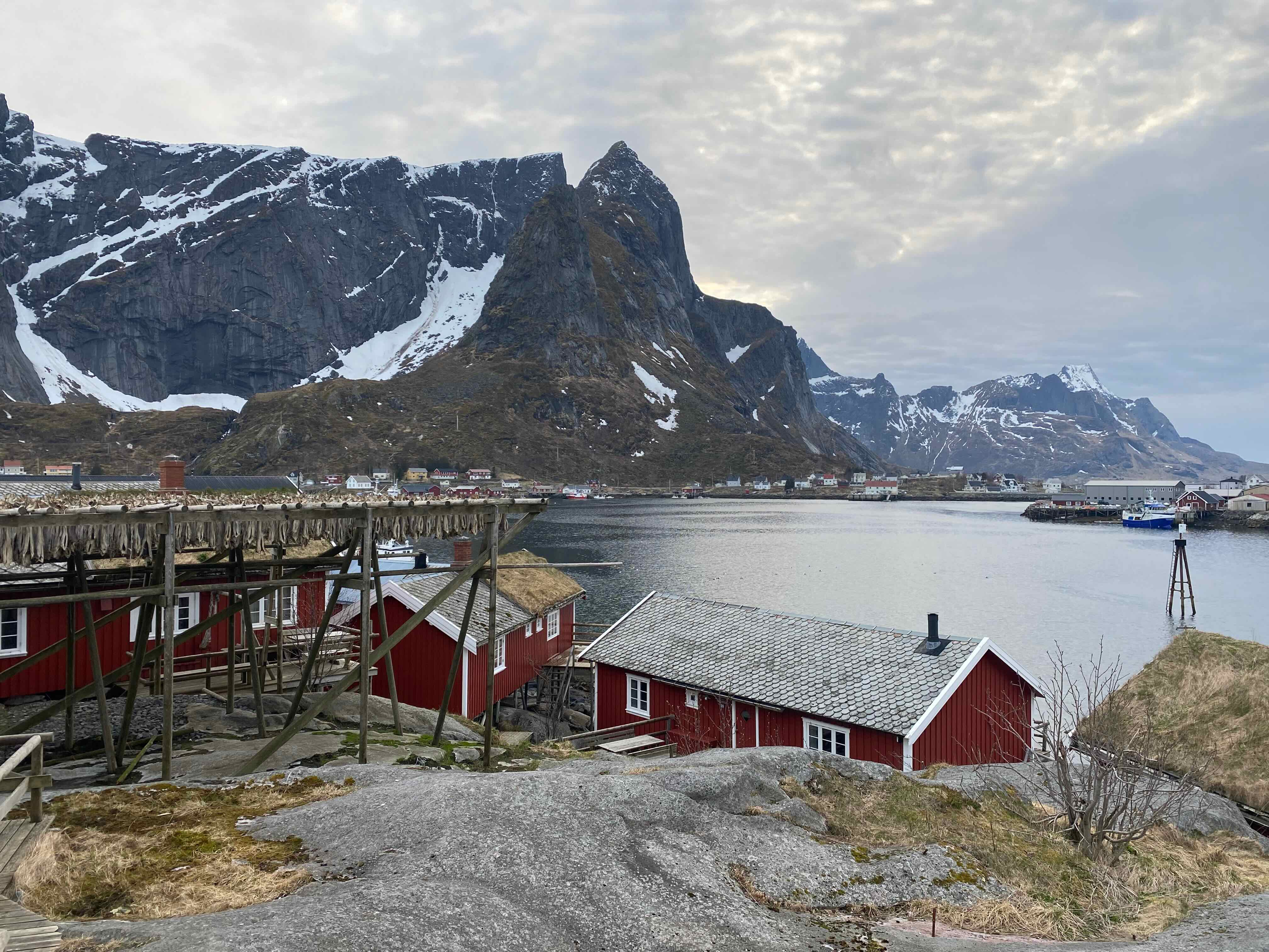 Reine