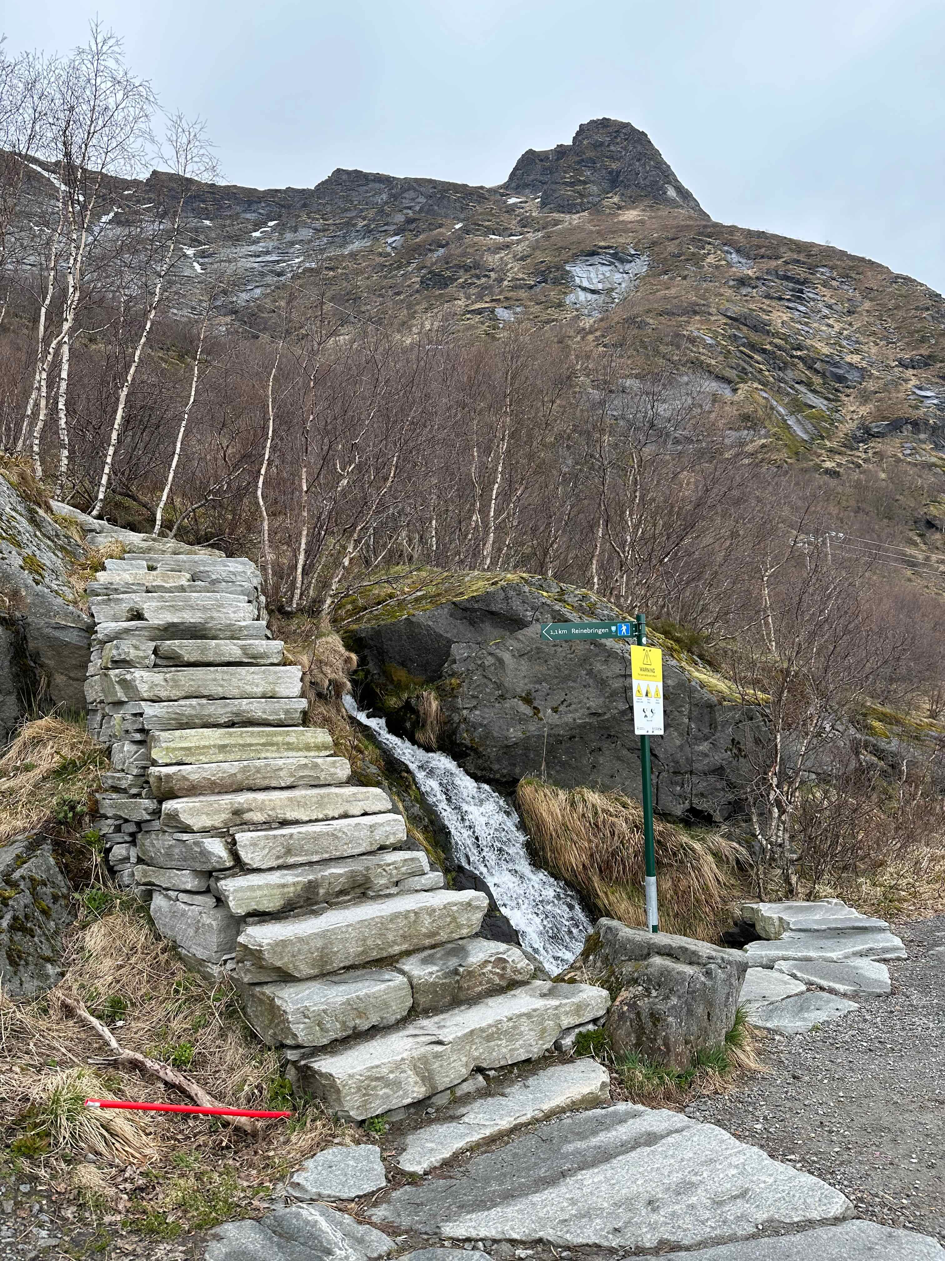 Auf den Reinebringen