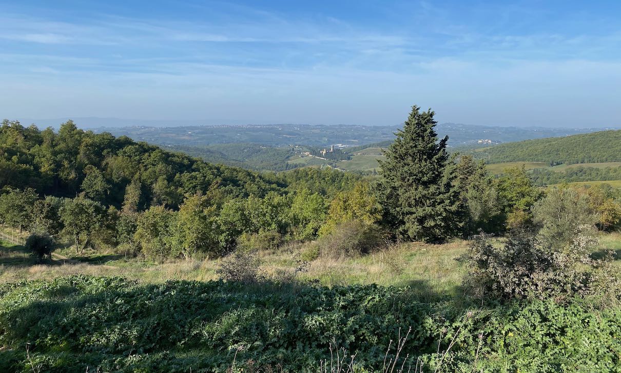 Ausblick auf Chianti